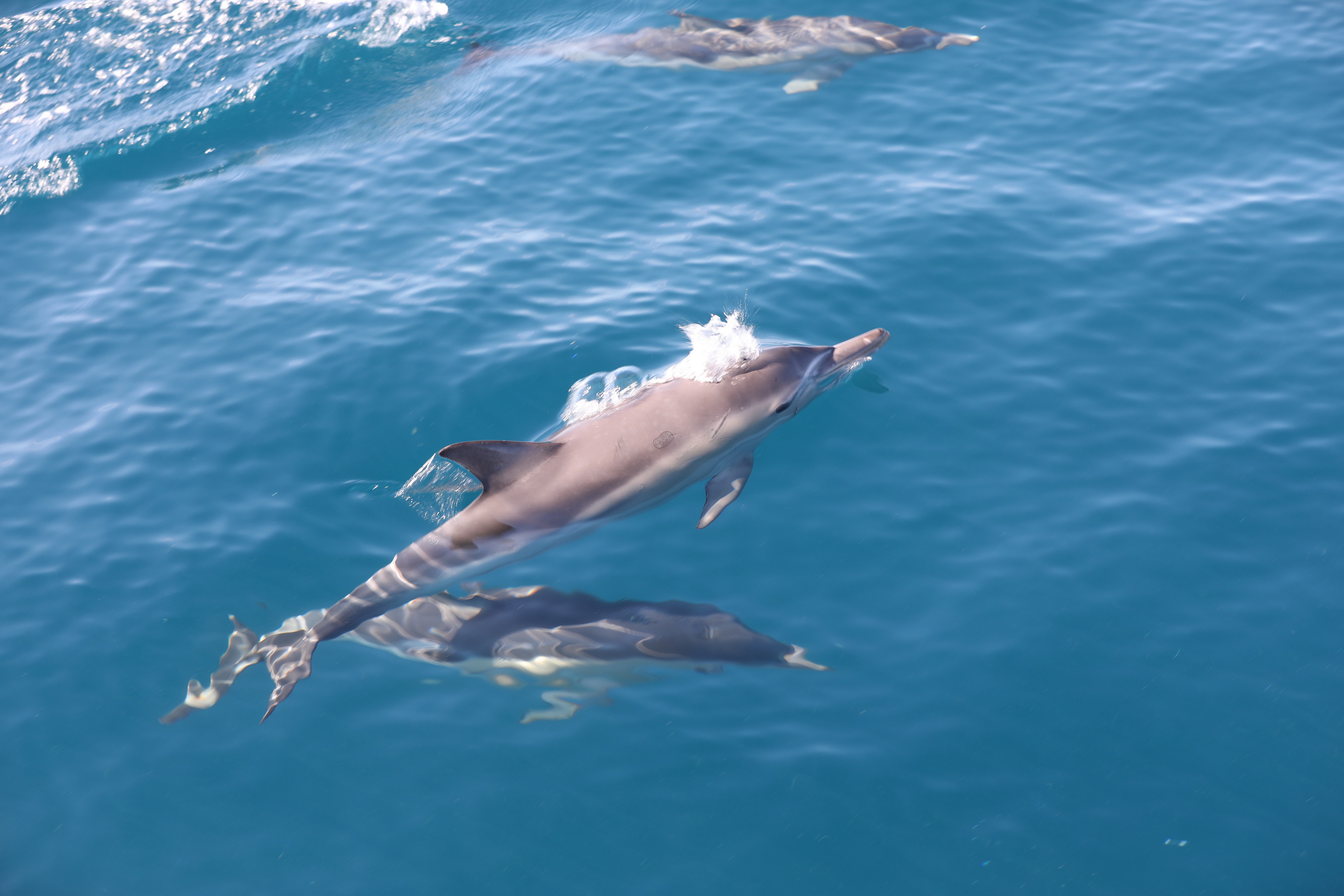 2019 12 07 08 46 37 Canon EOS 5D Mark IV 0011